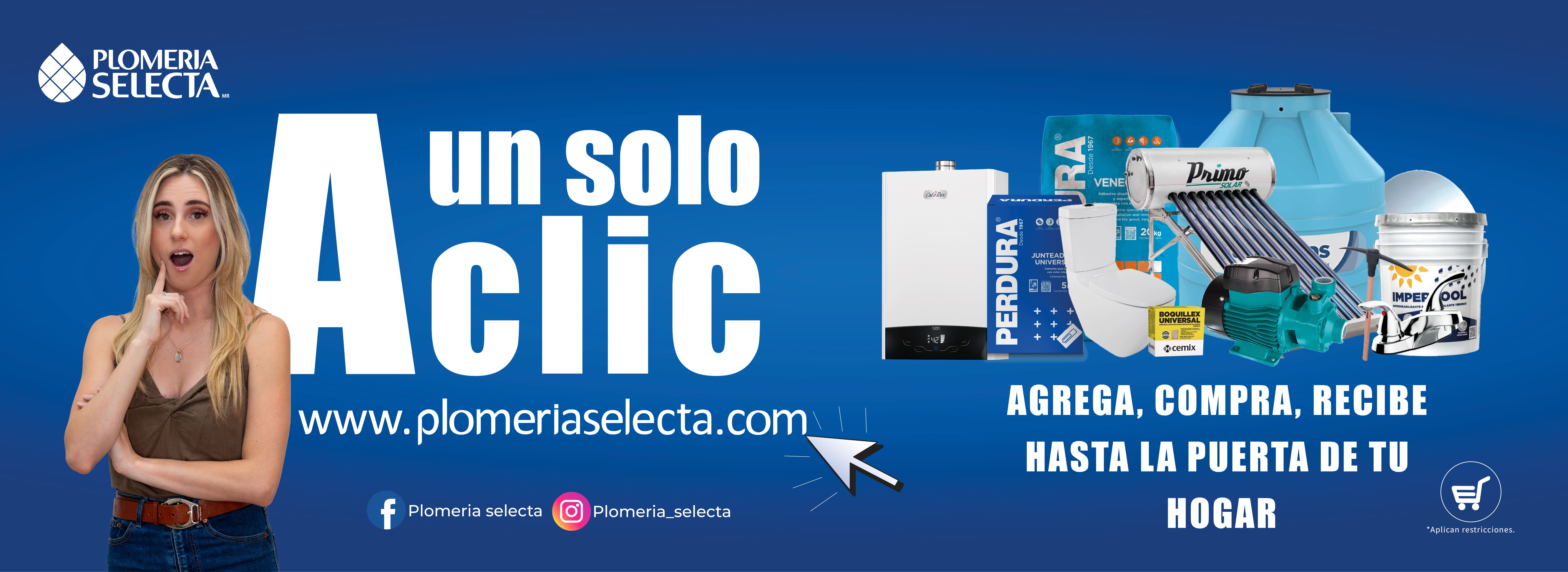 Plomeria selecta banners